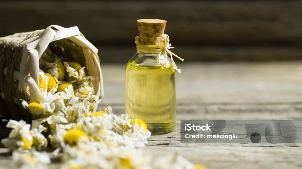 italian-cosmetics-banner